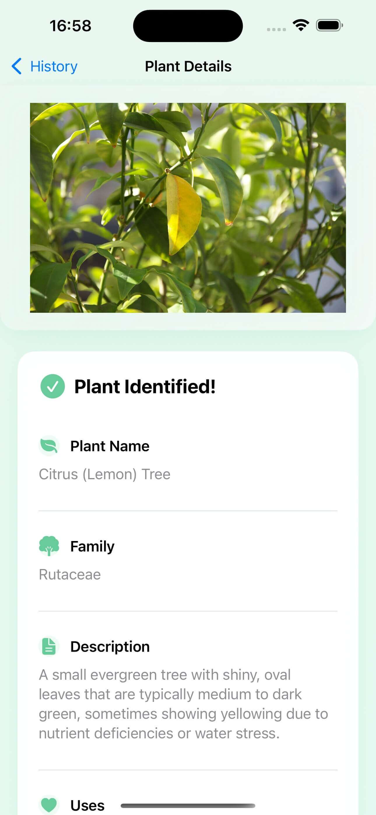 PlantSnap AI - Plant Details